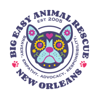 Big Easy Animal Rescue